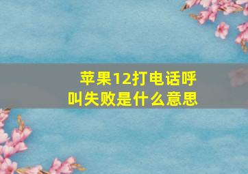 苹果12打电话呼叫失败是什么意思