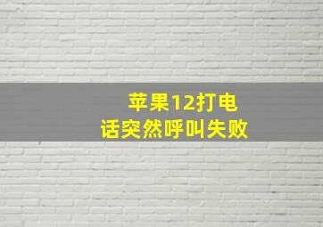 苹果12打电话突然呼叫失败