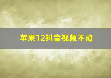 苹果12抖音视频不动