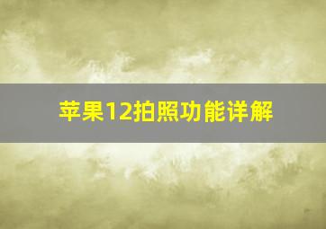 苹果12拍照功能详解