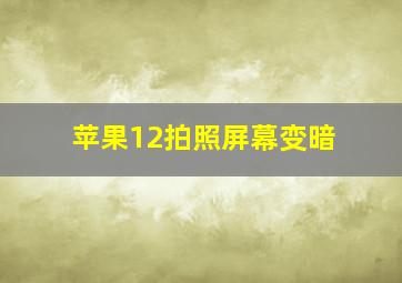 苹果12拍照屏幕变暗