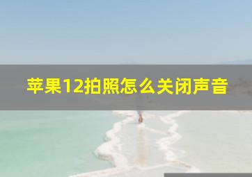 苹果12拍照怎么关闭声音