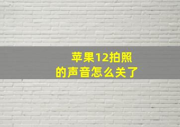 苹果12拍照的声音怎么关了