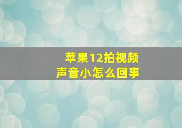 苹果12拍视频声音小怎么回事