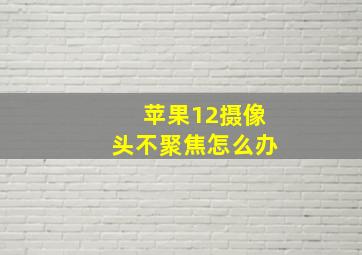 苹果12摄像头不聚焦怎么办