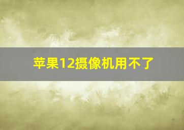 苹果12摄像机用不了