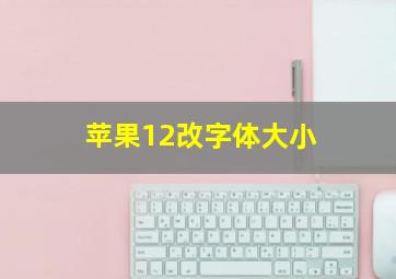 苹果12改字体大小