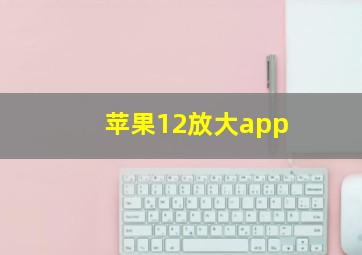 苹果12放大app