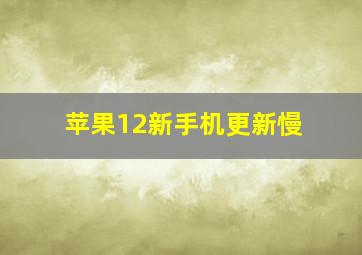 苹果12新手机更新慢