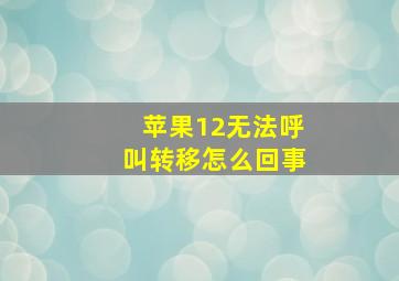 苹果12无法呼叫转移怎么回事