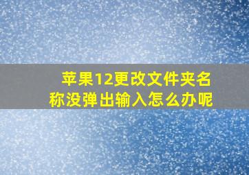 苹果12更改文件夹名称没弹出输入怎么办呢