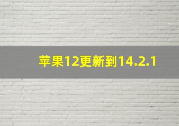 苹果12更新到14.2.1