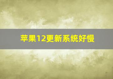 苹果12更新系统好慢