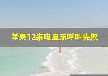 苹果12来电显示呼叫失败