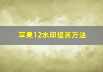 苹果12水印设置方法