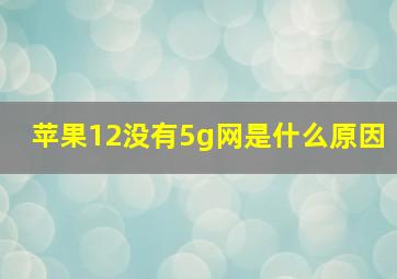 苹果12没有5g网是什么原因