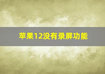 苹果12没有录屏功能