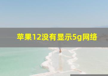 苹果12没有显示5g网络