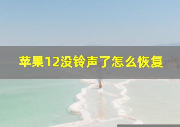 苹果12没铃声了怎么恢复