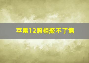 苹果12照相聚不了焦