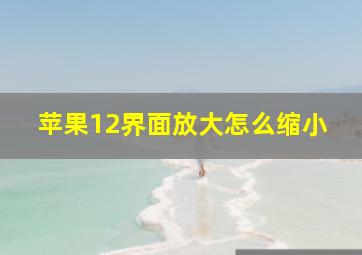 苹果12界面放大怎么缩小