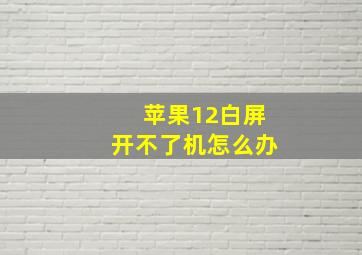 苹果12白屏开不了机怎么办