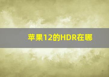 苹果12的HDR在哪