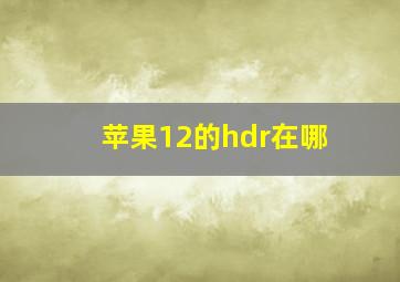 苹果12的hdr在哪