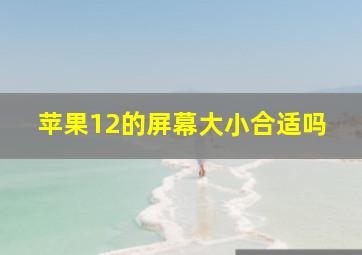 苹果12的屏幕大小合适吗