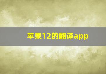 苹果12的翻译app