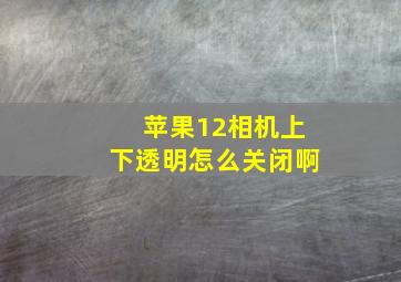 苹果12相机上下透明怎么关闭啊