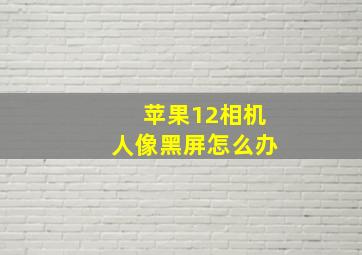 苹果12相机人像黑屏怎么办