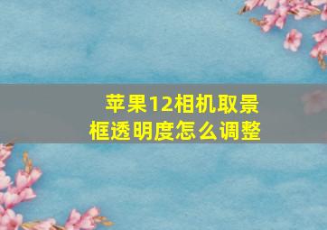 苹果12相机取景框透明度怎么调整