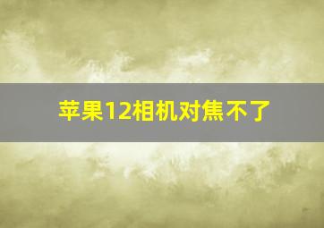 苹果12相机对焦不了