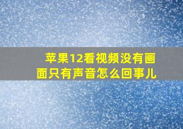 苹果12看视频没有画面只有声音怎么回事儿