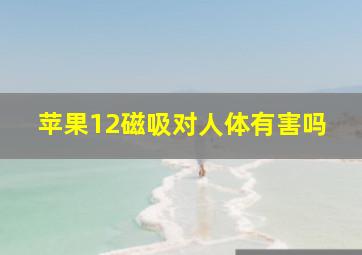 苹果12磁吸对人体有害吗