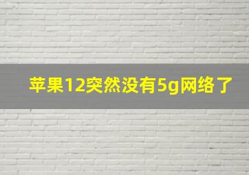 苹果12突然没有5g网络了