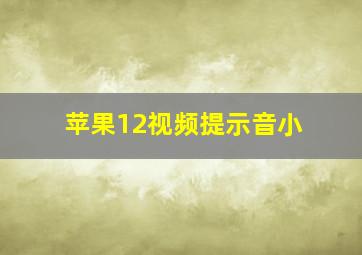 苹果12视频提示音小