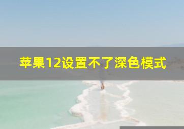 苹果12设置不了深色模式