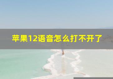 苹果12语音怎么打不开了