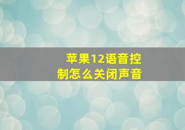 苹果12语音控制怎么关闭声音