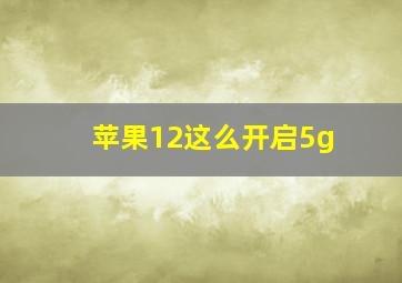 苹果12这么开启5g