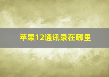 苹果12通讯录在哪里