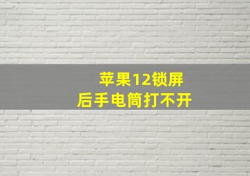 苹果12锁屏后手电筒打不开