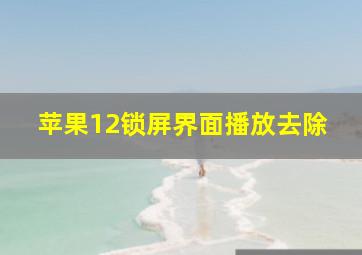 苹果12锁屏界面播放去除