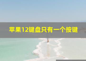 苹果12键盘只有一个按键