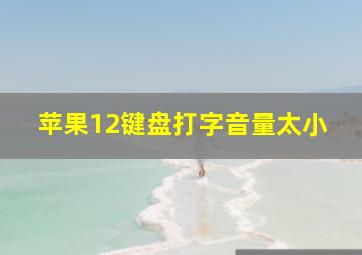 苹果12键盘打字音量太小