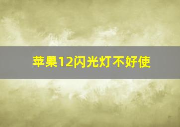 苹果12闪光灯不好使