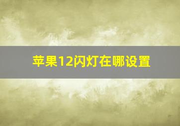 苹果12闪灯在哪设置