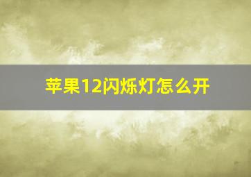 苹果12闪烁灯怎么开